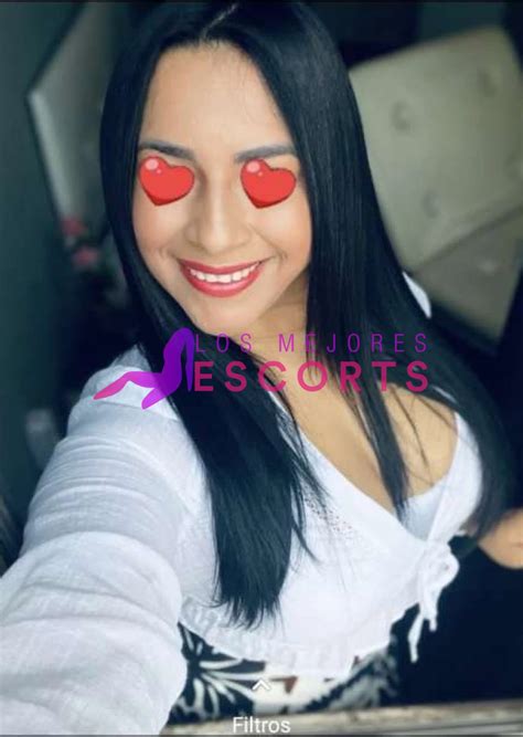 chicas escort pamplona|Putas en Pamplona Escorts y Prostitutas en Pamplona